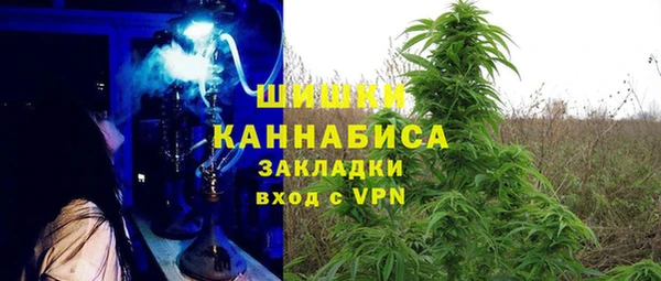гашик Бородино