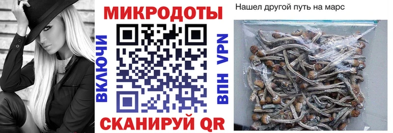 Галлюциногенные грибы Magic Shrooms  МЕГА   Улан-Удэ 